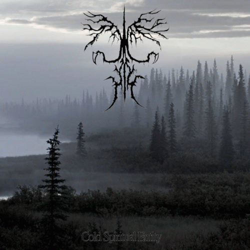 Ancient Boreal Forest : Cold Spiritual Entity Ancient Boreal Forest : Cold Spiritual Entity